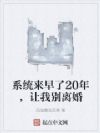 ϵͳ20꣬ұ